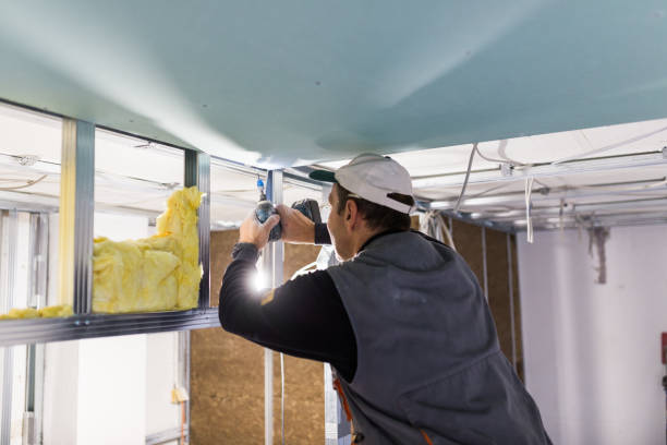 Best Attic Insulation Installation  in Denver, NC