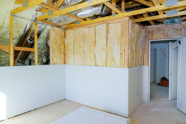 Best Attic Insulation Installation  in Denver, NC
