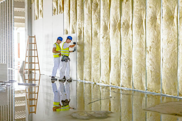 Best Insulation Replacement Services  in Denver, NC